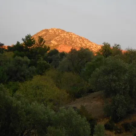 Narlidere Mesudiye (Datca)